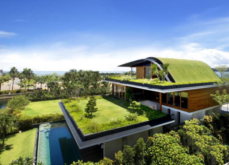 a house with grass roof